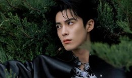 娱记爆料王鹤棣视频大全,娱记爆料下的多面魅力