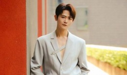 刘大锤爆料吵架视频,一场网络风波背后的真实故事